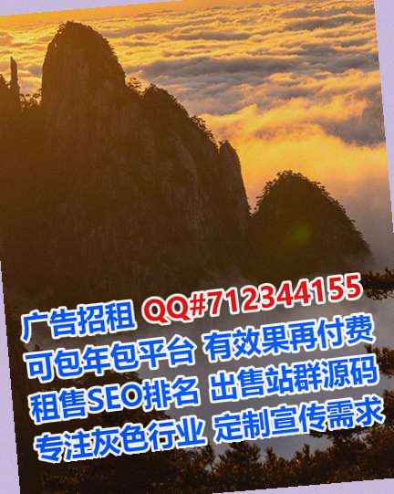 ZhongGuo代怀商业运营公司